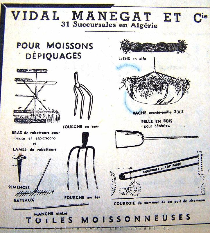 Oran documents divers 504.jpg
